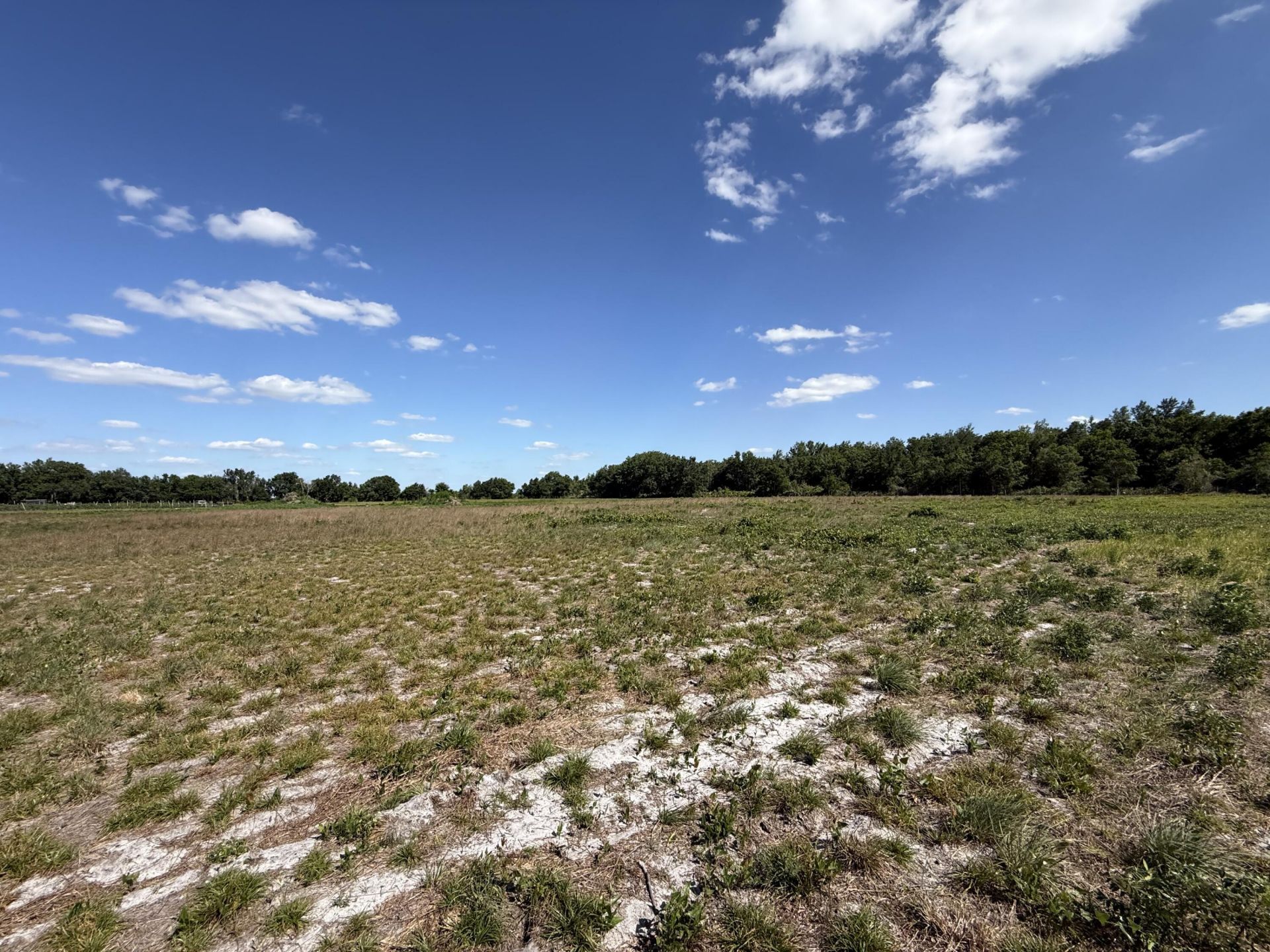 2615 Bluff Hammock Road, Lorida, FL 33857 Photo