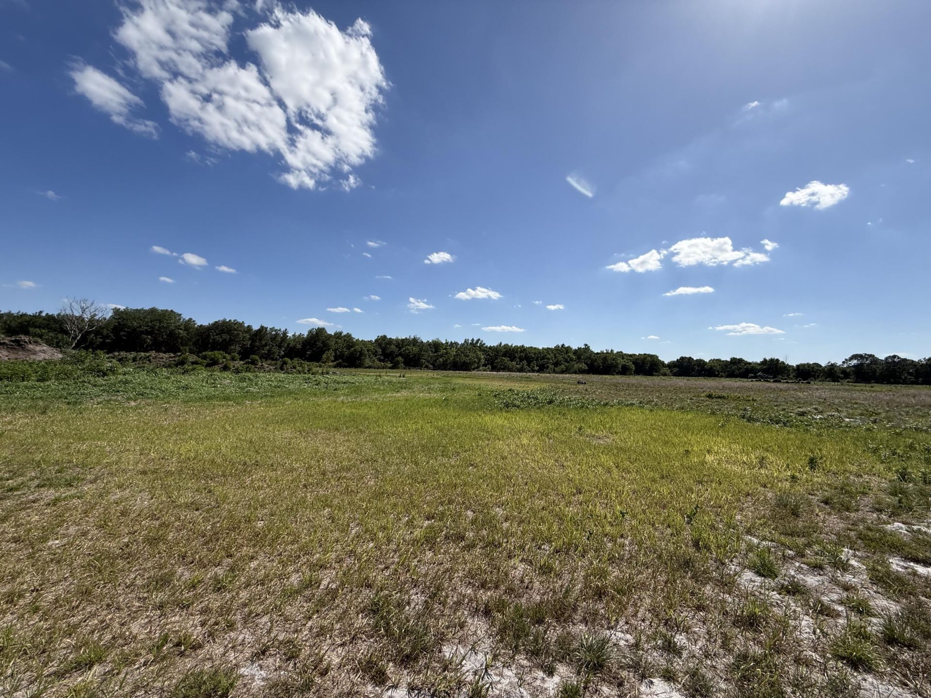 2615 Bluff Hammock Road, Lorida, FL 33857 Photo