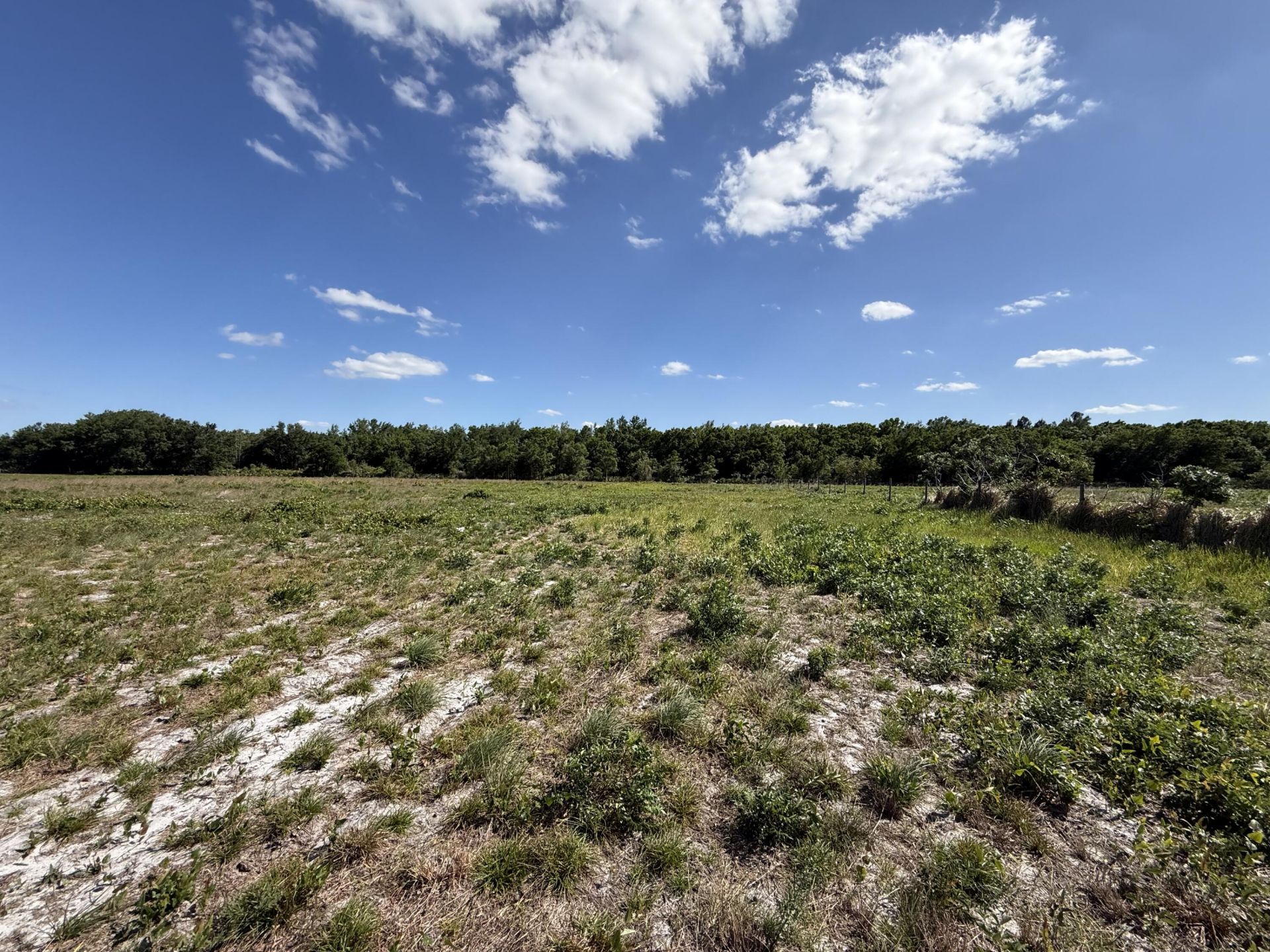 2615 Bluff Hammock Road, Lorida, FL 33857 Photo