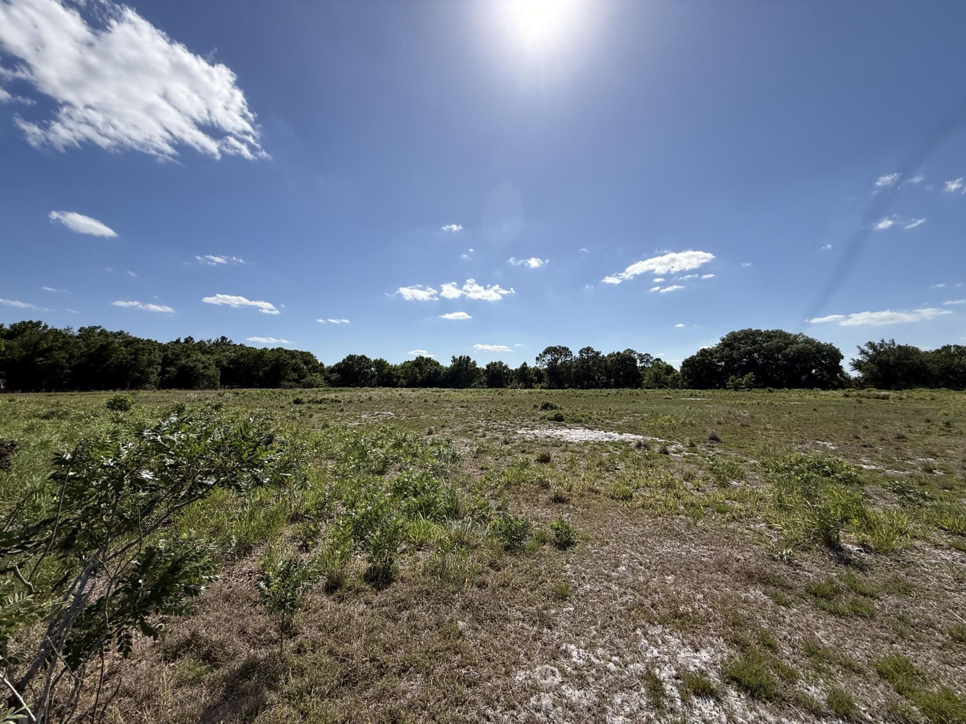 2615 Bluff Hammock Road, Lorida, FL 33857 Photo