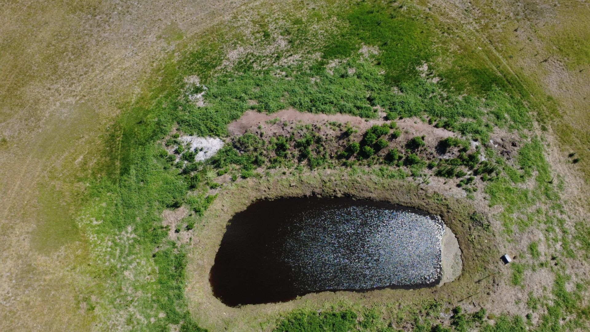 2615 Bluff Hammock Road, Lorida, FL 33857 Photo