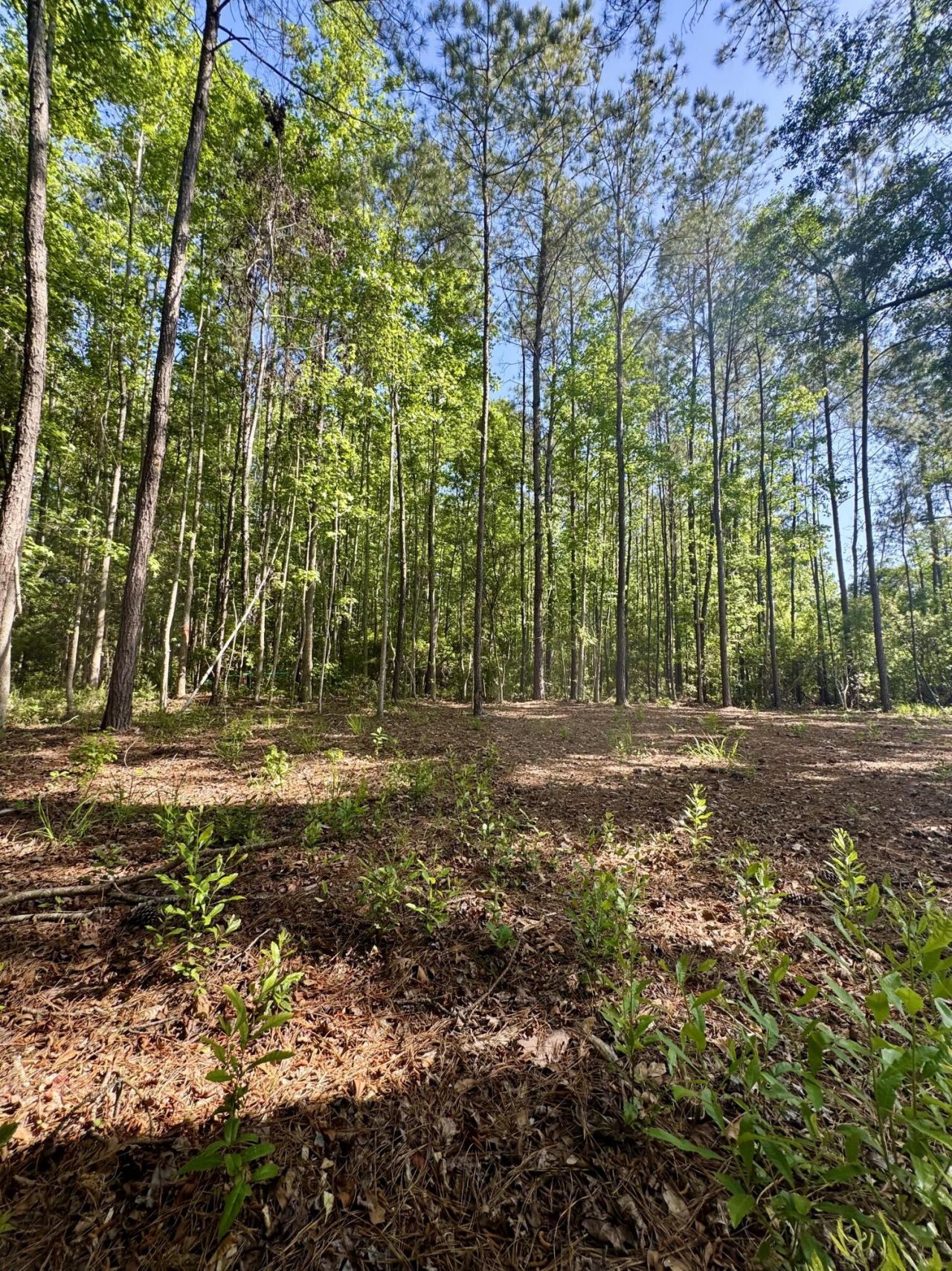 0 Delemar Highway Photo 6