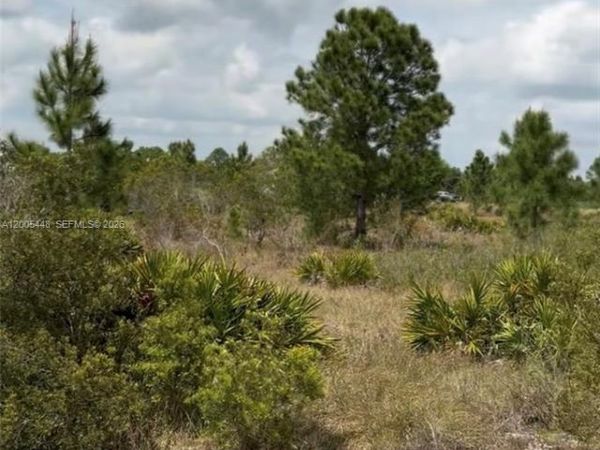 2458 W Butkus Rd , Avon Park, FL 33825