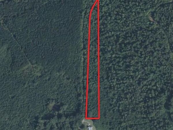 Angel St., Myrtle, MS 38650