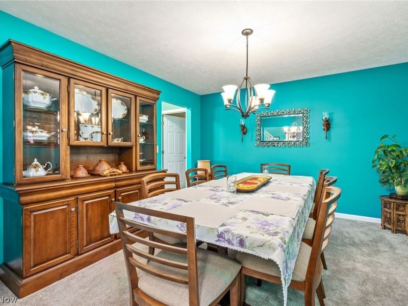 9961 Colmanara Drive, Aurora, OH 44202 Photo 16