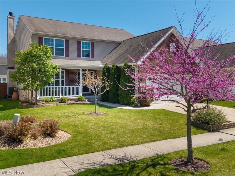 9961 Colmanara Drive, Aurora, OH 44202 Photo 2