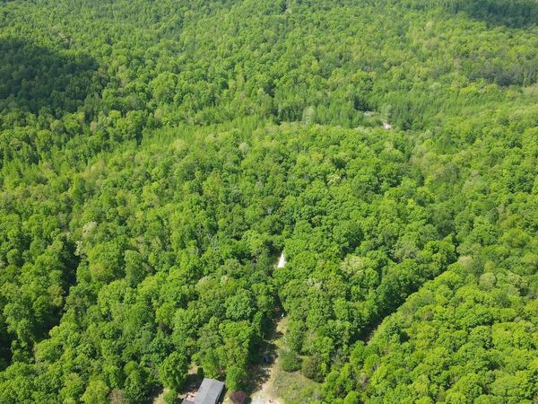 578 Cyclone Ln, Waverly, TN 37185