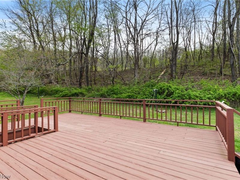 55291 Town Hill Road, Jacobsburg, OH 43933 Photo 10