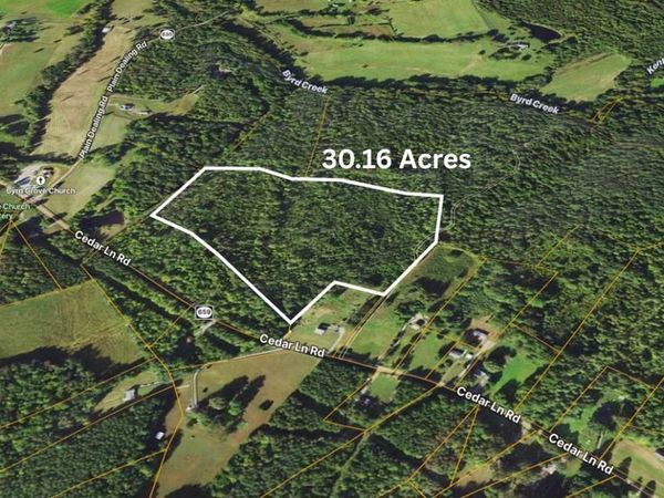 00 CEDAR LANE ROAD, KENTS STORE, VA 23084
