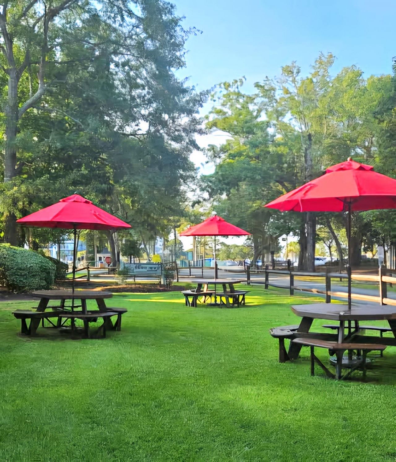 5905 S Kings Hwy.  Photo 32