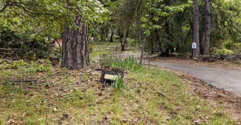 895 Pine Forest Rd, Colfax, CA 95713 Photo