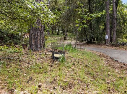 895 Pine Forest Rd, Colfax, CA 95713 Photo