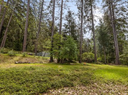 895 Pine Forest Rd, Colfax, CA 95713 Photo