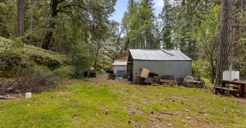 895 Pine Forest Rd, Colfax, CA 95713 Photo