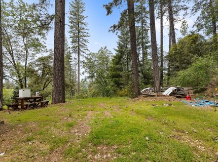 895 Pine Forest Rd, Colfax, CA 95713 Photo