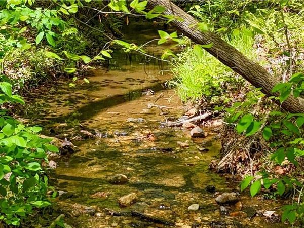 x Kelly Bridge Road, Dawsonville, GA 30534