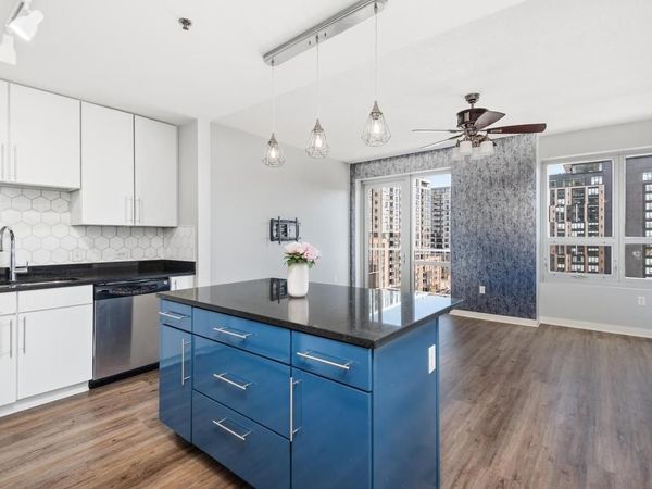 929 Portland Avenue, Unit 804, Minneapolis, MN 55404