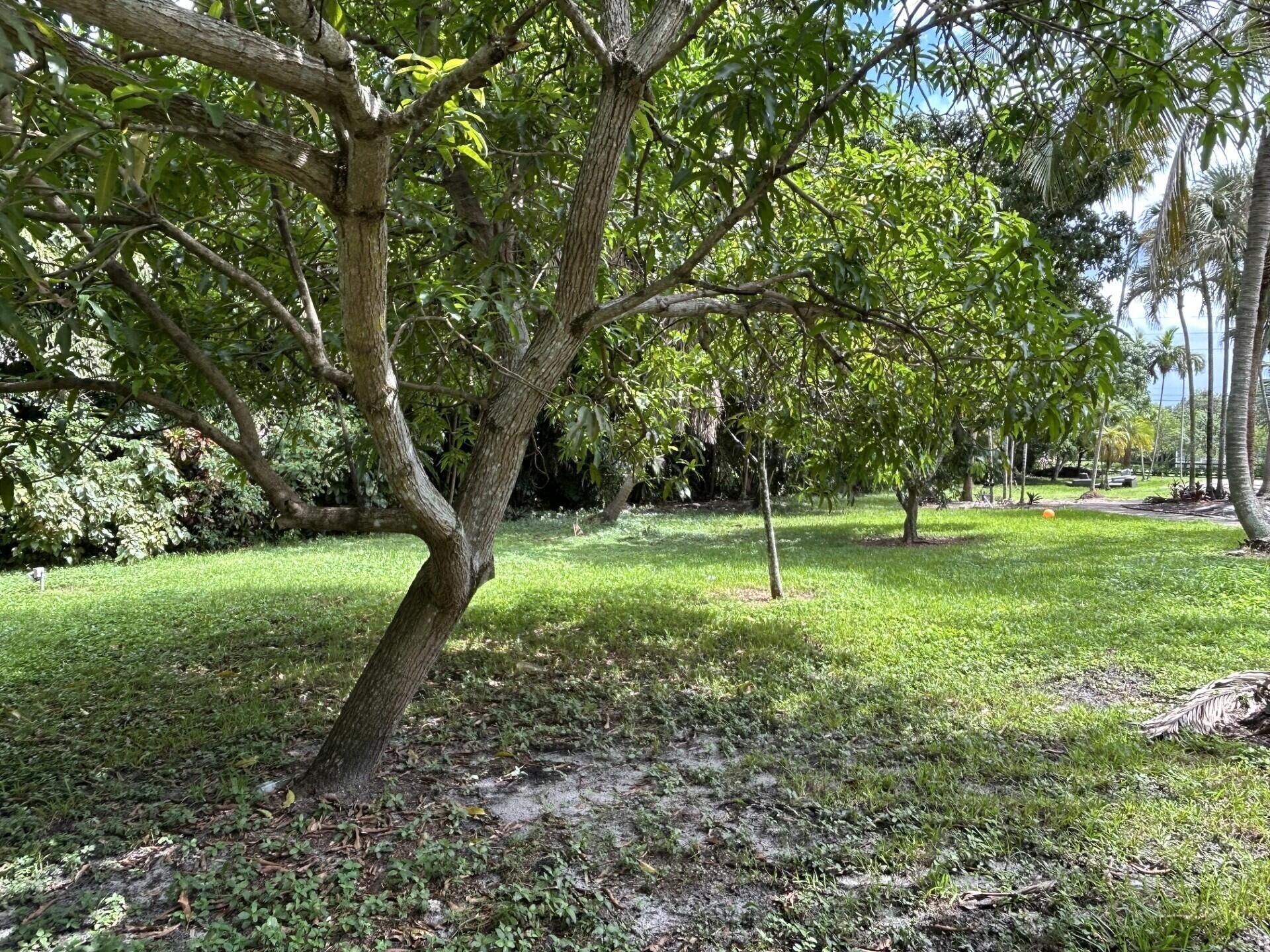 11621 NW 21st Court, Plantation, FL 33323 Photo