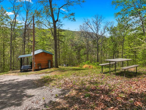 TBD Douglas Drive, Sneedville, TN 37869