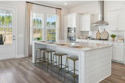 1043 Red Turnstone Run photo 4