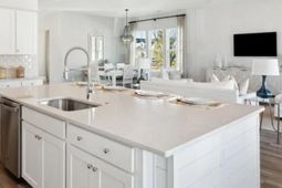 1043 Red Turnstone Run photo 4