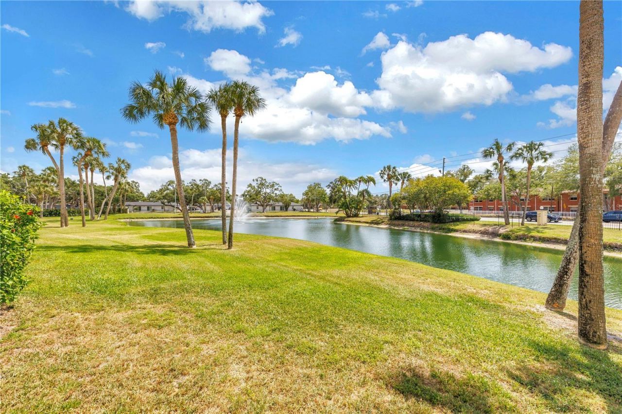 3001 58th Avenue S, Unit 315, Saint Petersburg, FL 33712 Photo
