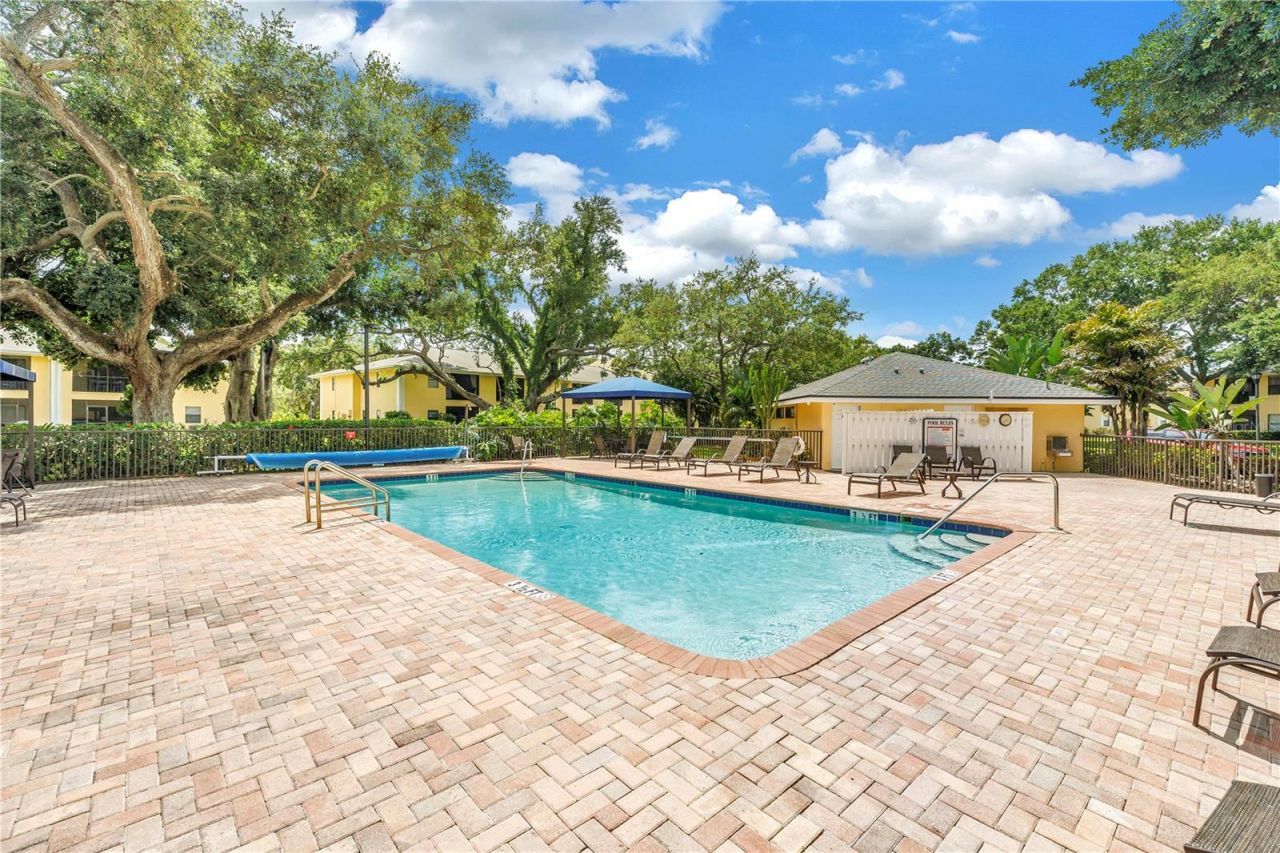 3001 58th Avenue S, Unit 315, Saint Petersburg, FL 33712 Photo
