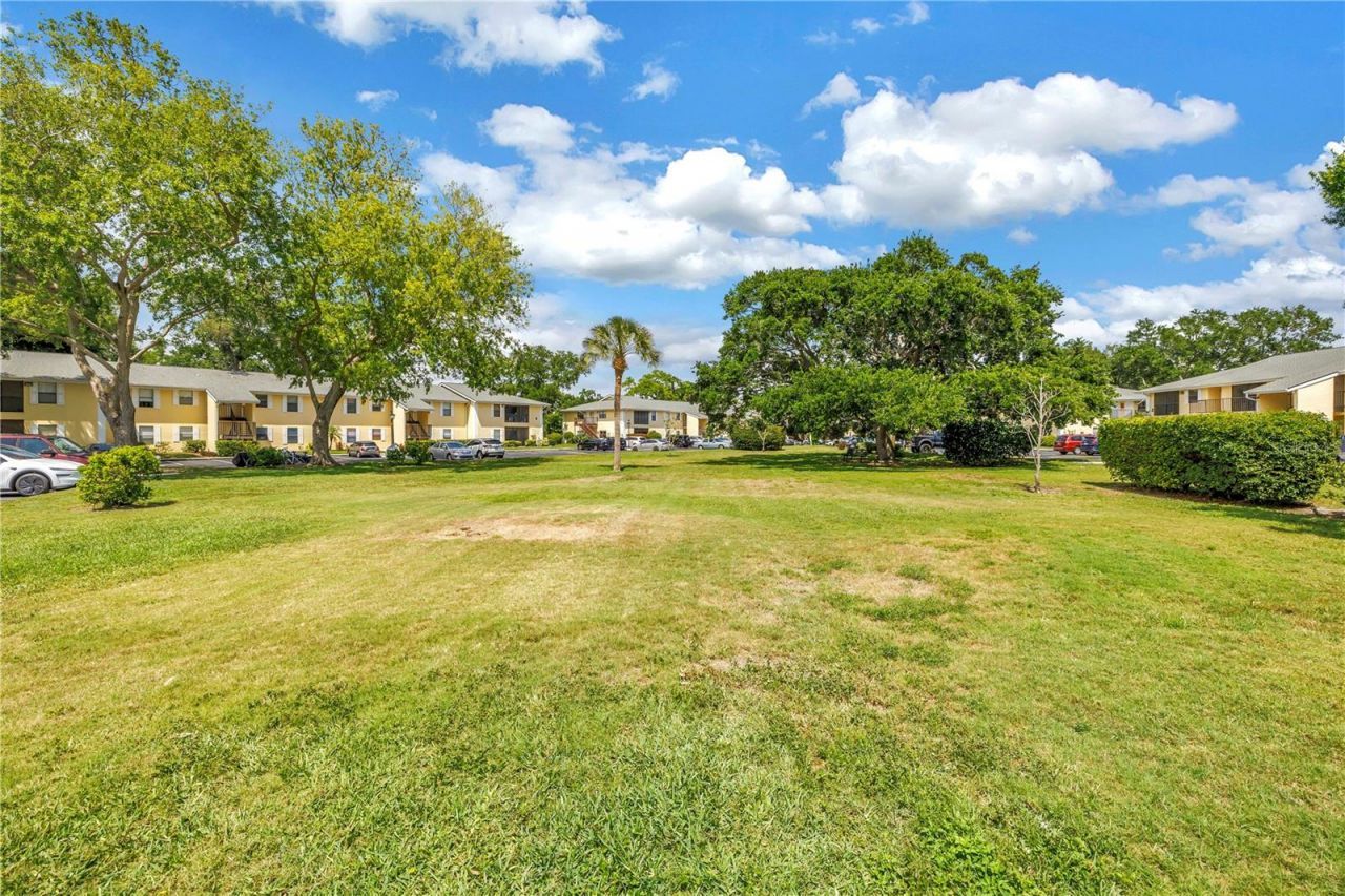 3001 58th Avenue S, Unit 315, Saint Petersburg, FL 33712 Photo