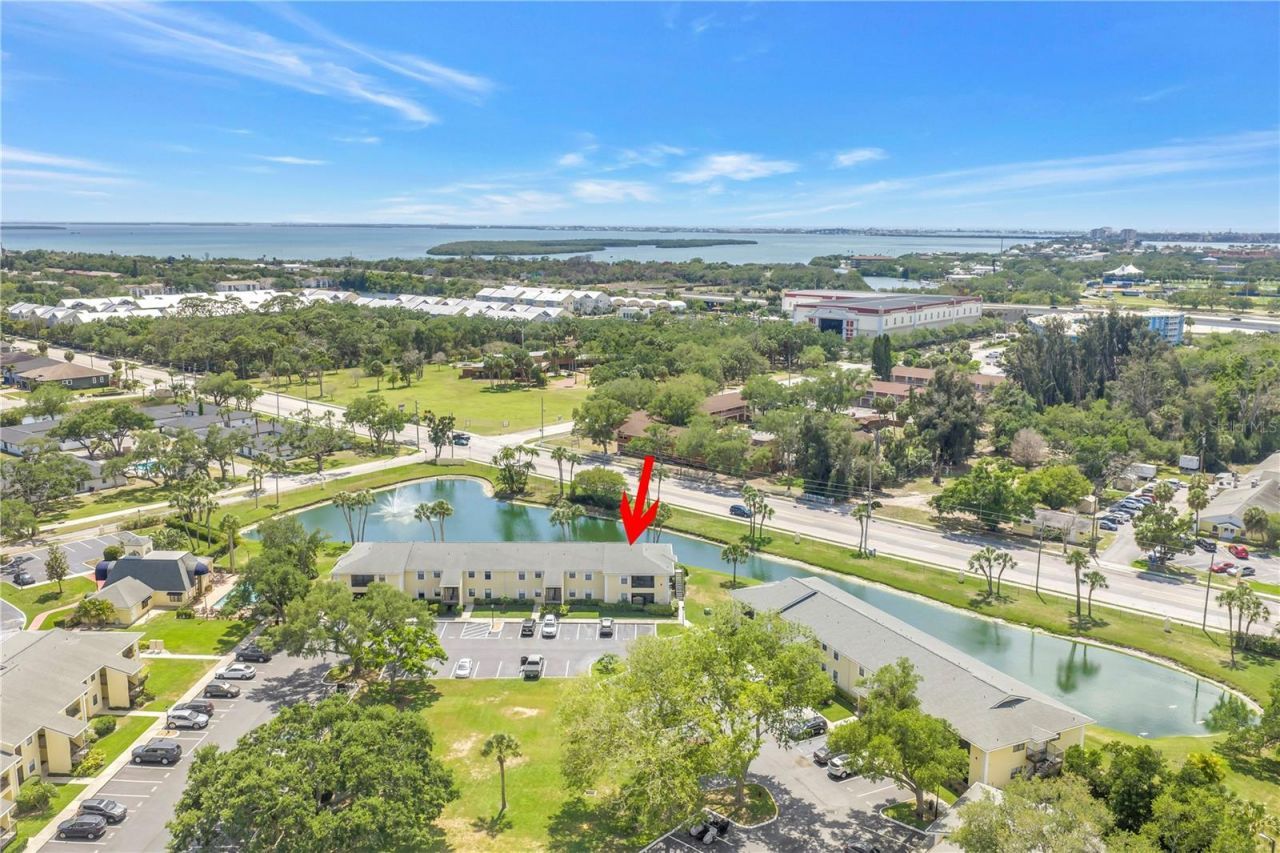 3001 58th Avenue S, Unit 315, Saint Petersburg, FL 33712 Photo
