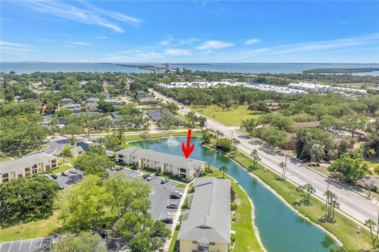 3001 58th Avenue S, Unit 315, Saint Petersburg, FL 33712 Photo
