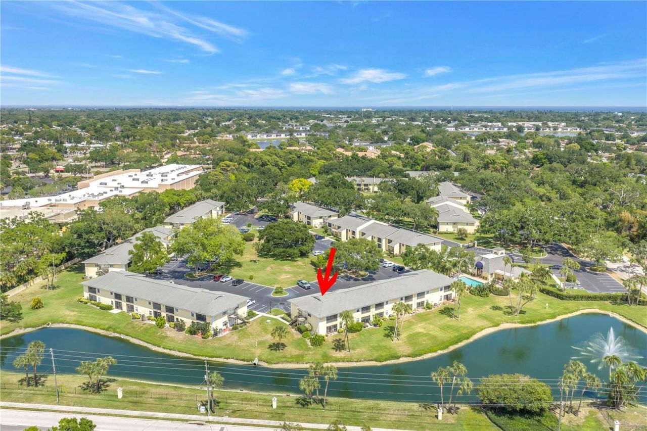 3001 58th Avenue S, Unit 315, Saint Petersburg, FL 33712 Photo