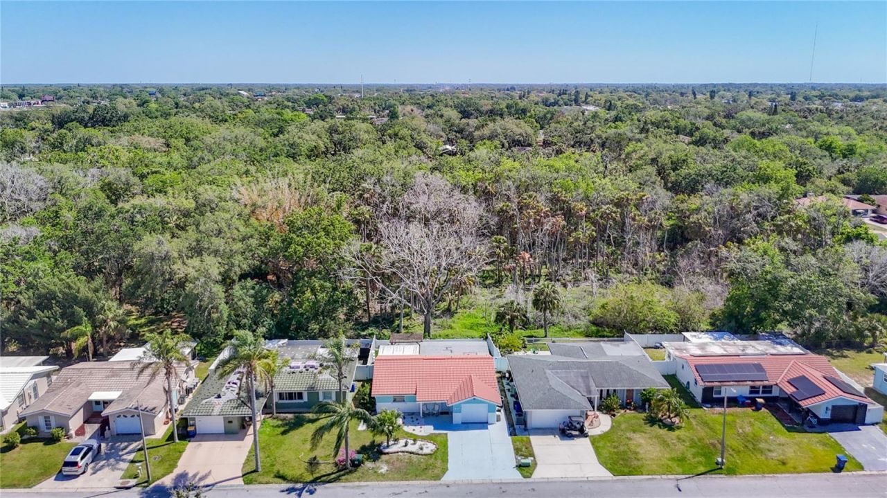 4848 Shell Stream Boulevard , New Port Richey, FL 34652 Photo