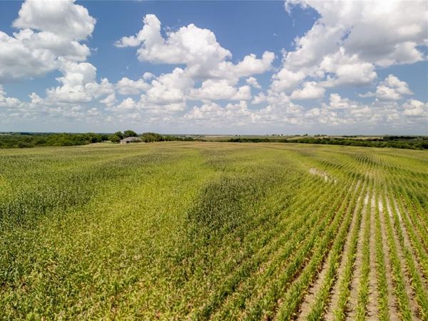 12.54 Acres | Tract 3 County Rd 3307 , Hubbard, TX 76648