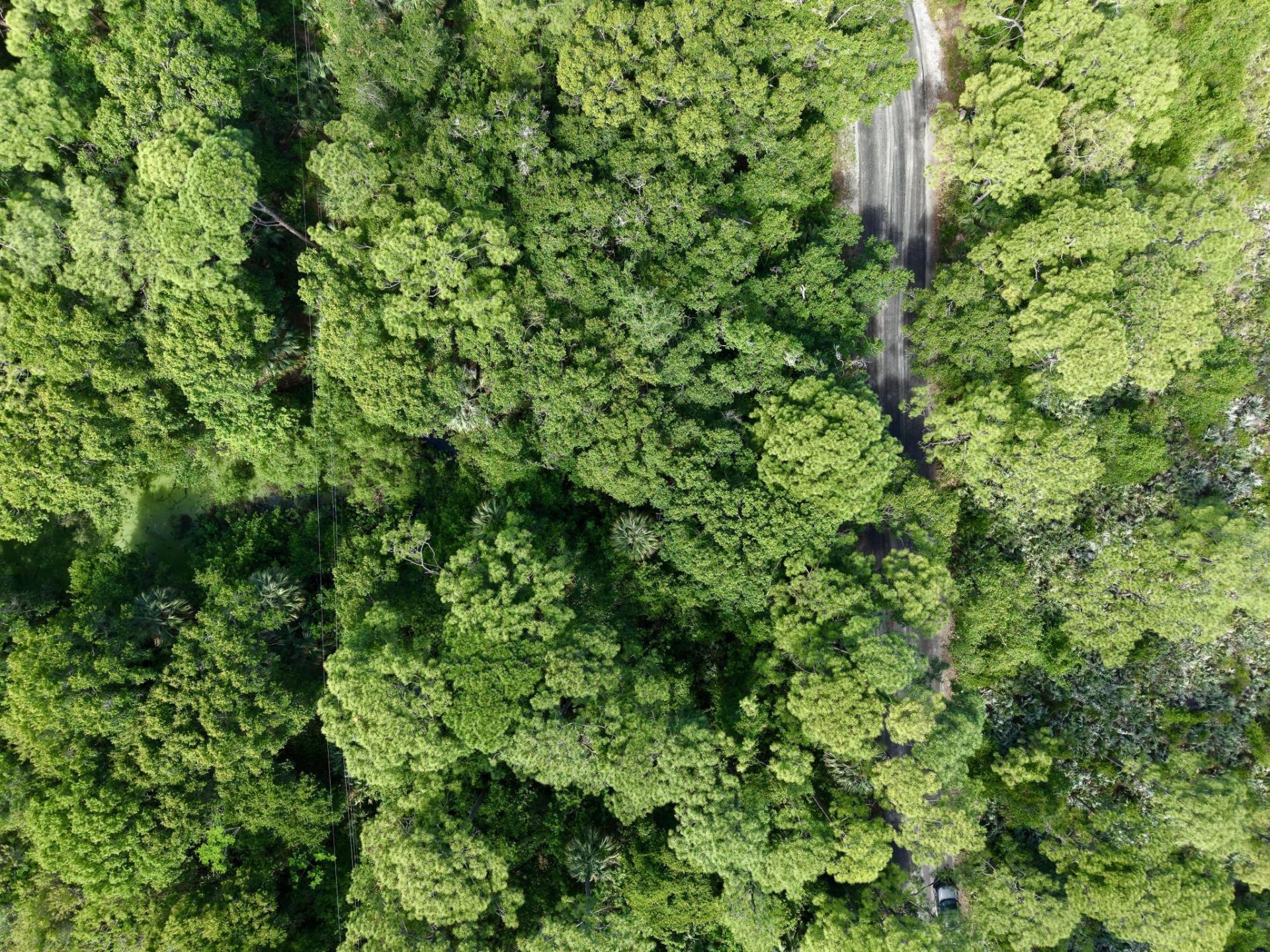 0000 Notlem Drive, Fort Pierce, FL 34982 Photo