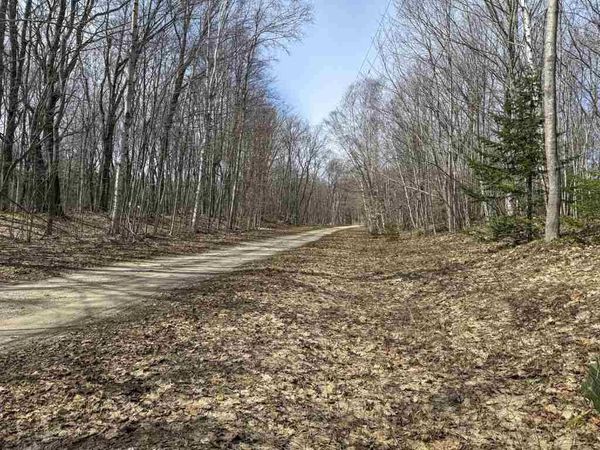 Lot 417 Wild Woods Court, Beaver Island, MI 49782