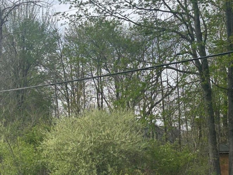 67-68 Candlewood Drive , Unit 67, Mount Gilead, OH 43338 Photo 2