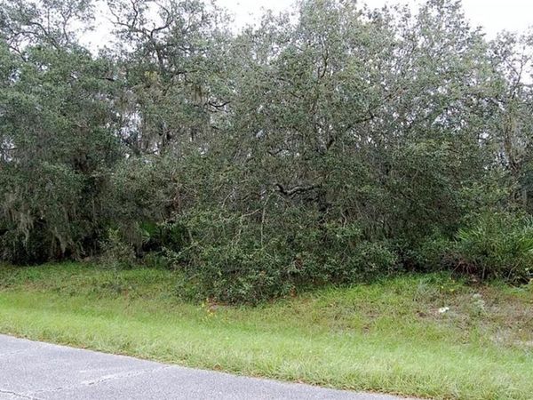 0 ST JOHNS COURT , POINCIANA, FL 34759