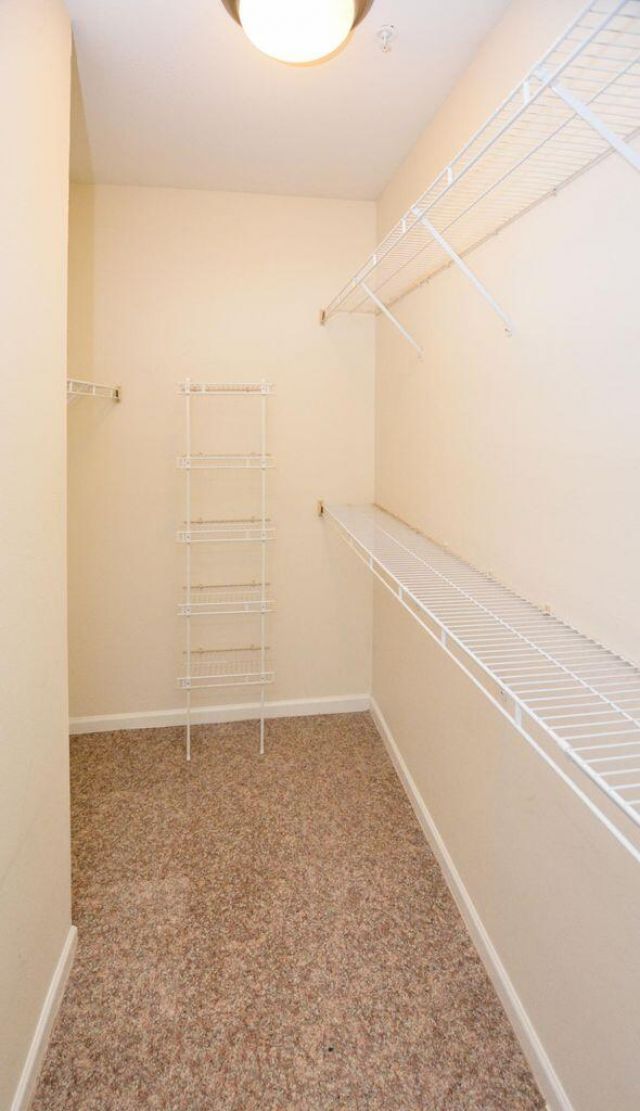 700 Daniel Ellis Drive Photo 20