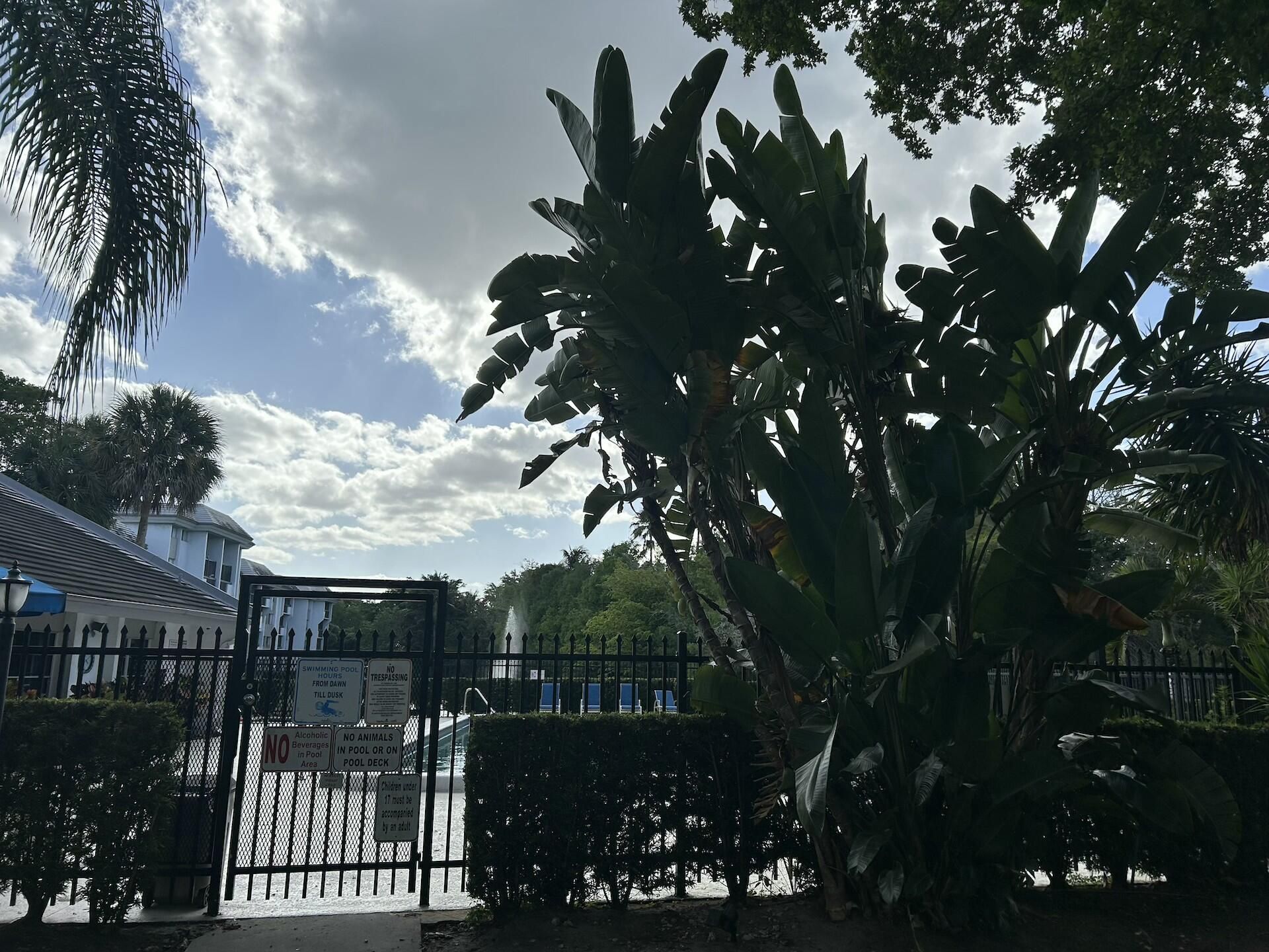 701 N Pine Island Road, Unit 304, Plantation, FL 33324 Photo