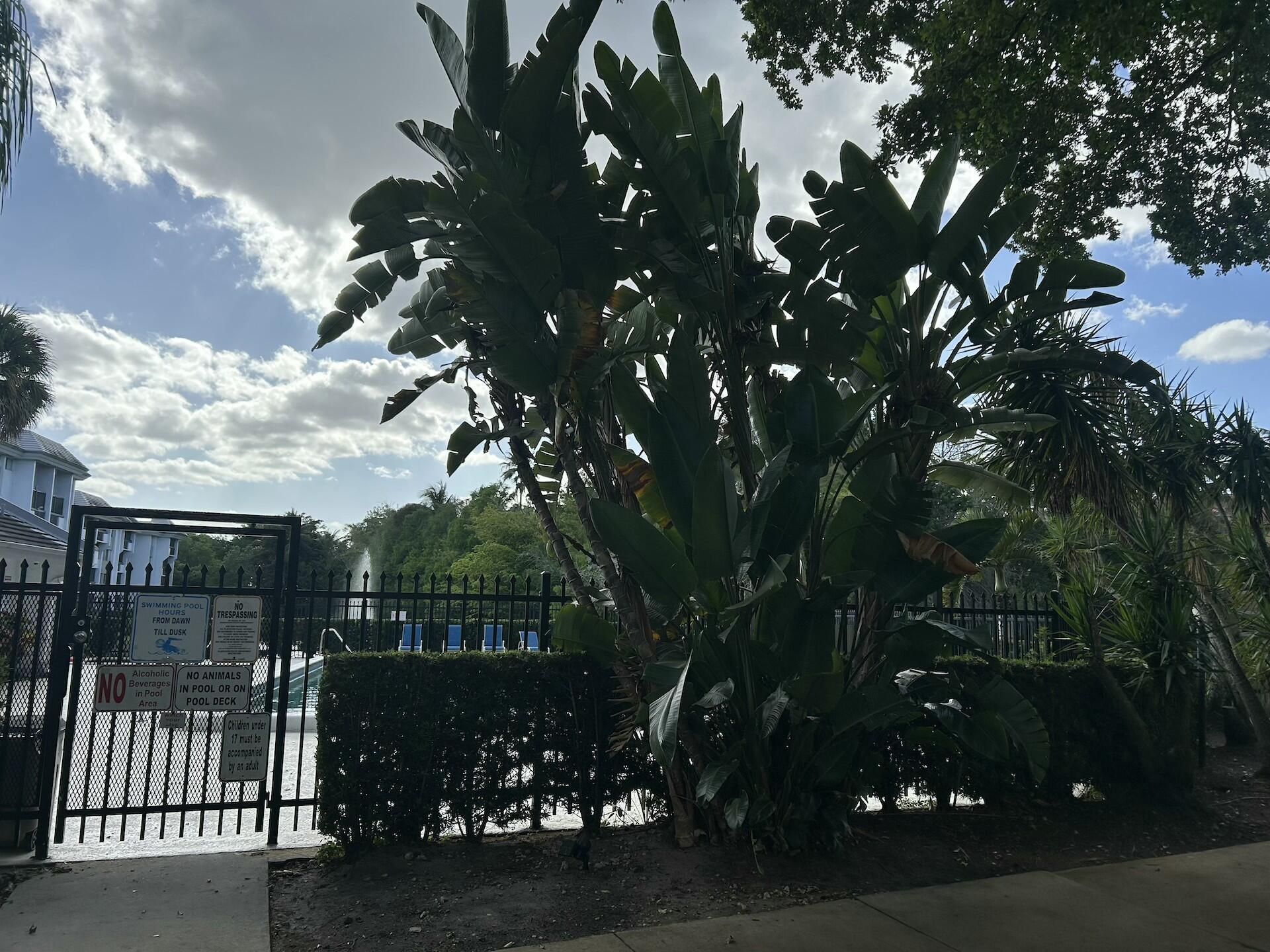 701 N Pine Island Road, Unit 304, Plantation, FL 33324 Photo