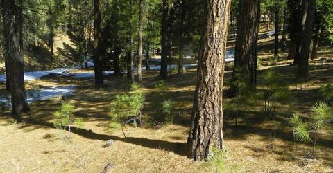 462 Grizzly Ranch Road, Portola, CA 96122 Photo