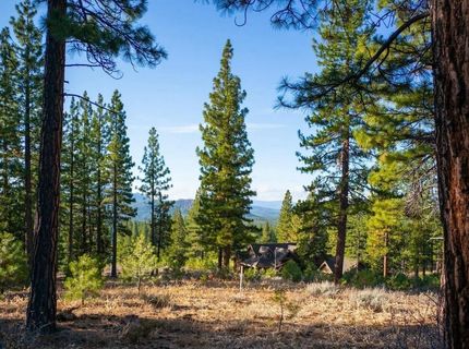 462 Grizzly Ranch Road, Portola, CA 96122 Photo