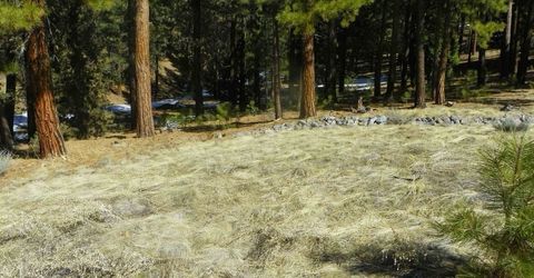 462 Grizzly Ranch Road, Portola, CA 96122 Photo