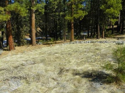 462 Grizzly Ranch Road, Portola, CA 96122 Photo