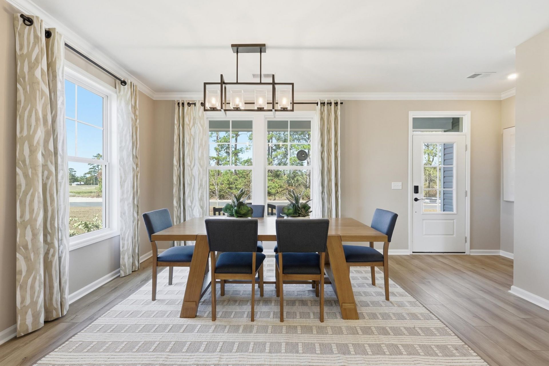 4225 Collins Farm Way  Photo 2