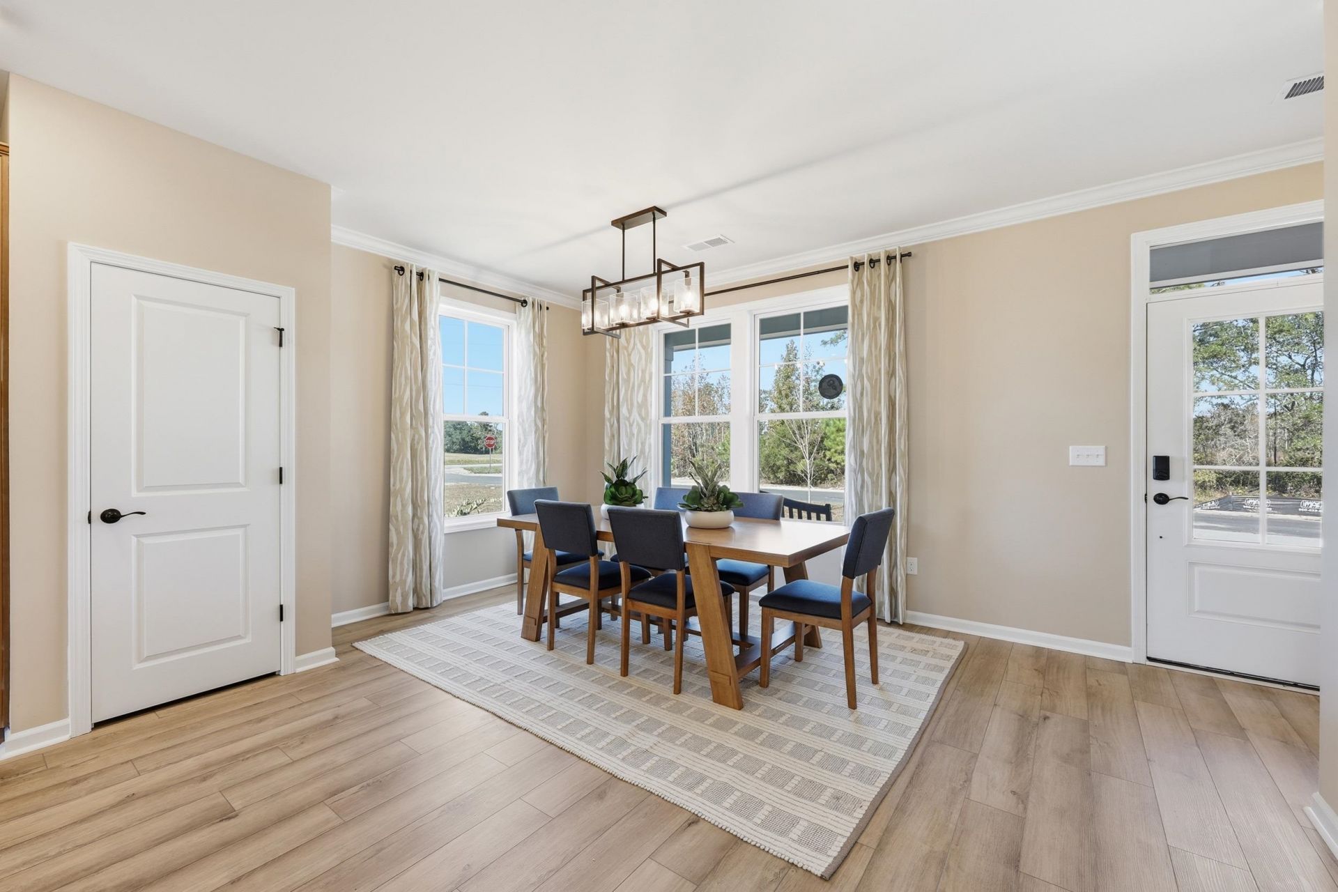 4225 Collins Farm Way  Photo 3