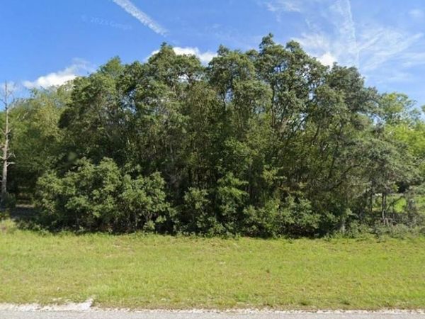 00 MALAUKA RD , Unit 40, OCKLAWAHA, FL 32179