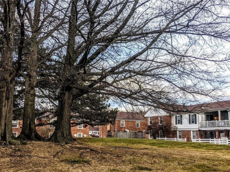 25 Trenton Square, Euclid, OH 44143 Photo 34