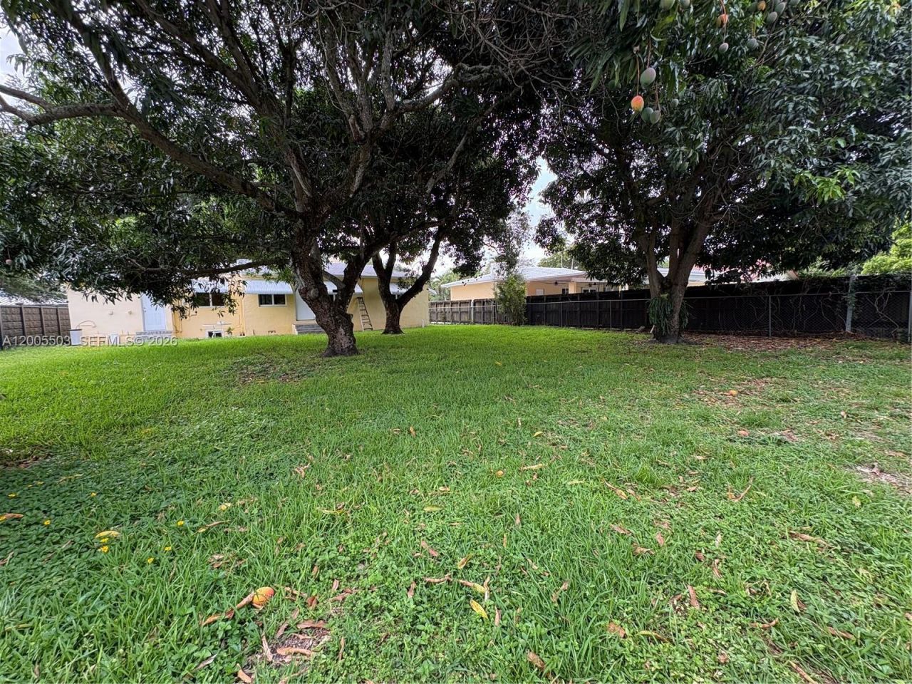 432 Palmetto Dr, Miami Springs, FL 33166 Photo