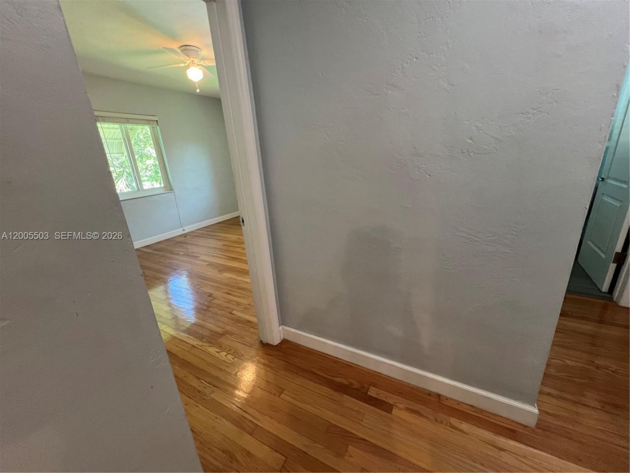 432 Palmetto Dr, Miami Springs, FL 33166 Photo